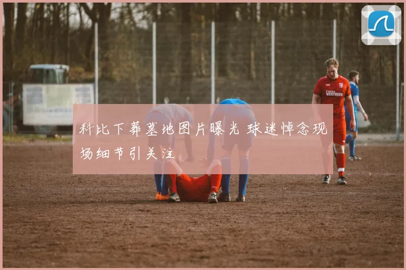 科比下葬墓地图片曝光 球迷悼念现场细节引关注