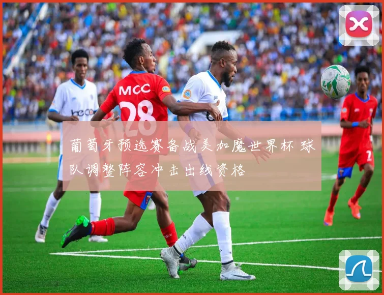 葡萄牙预选赛备战美加魔世界杯 球队调整阵容冲击出线资格