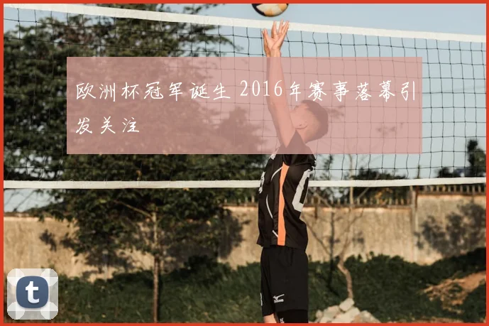 欧洲杯冠军诞生 2016年赛事落幕引发关注