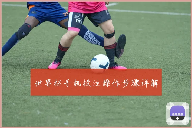 世界杯手机投注操作步骤详解