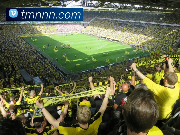 App Interface Preview